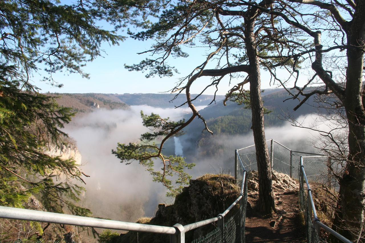 Berghaus Knopfmacher Fridingen an der Donau Exteriör bild
