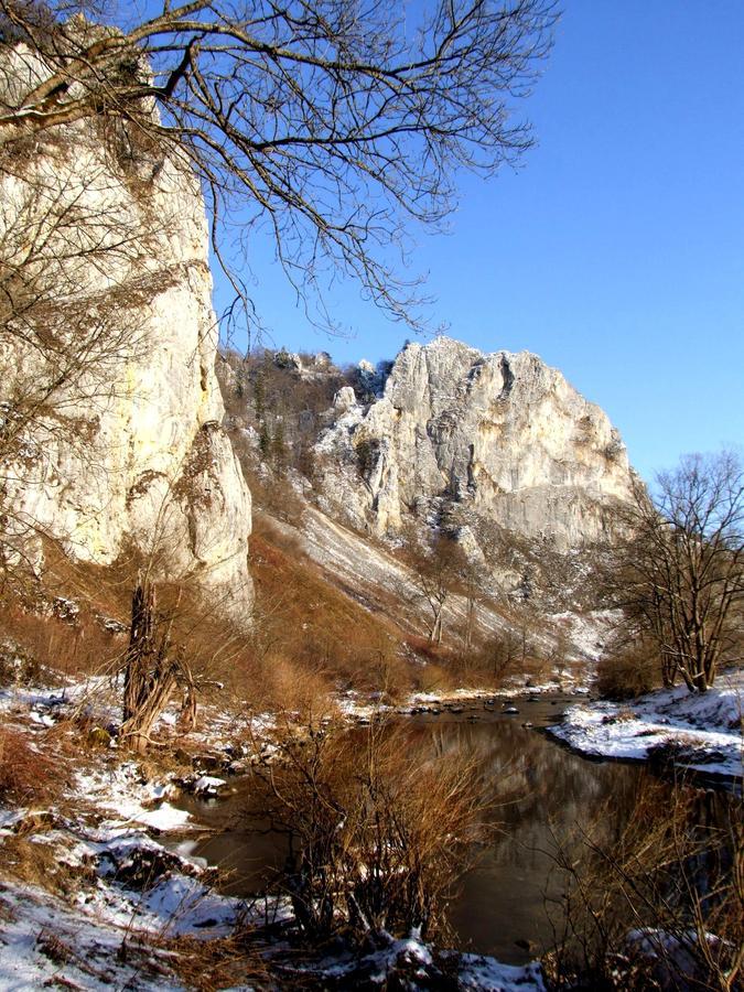 Berghaus Knopfmacher Fridingen an der Donau Exteriör bild