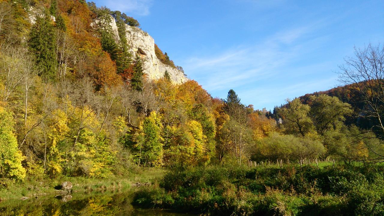 Berghaus Knopfmacher Fridingen an der Donau Exteriör bild
